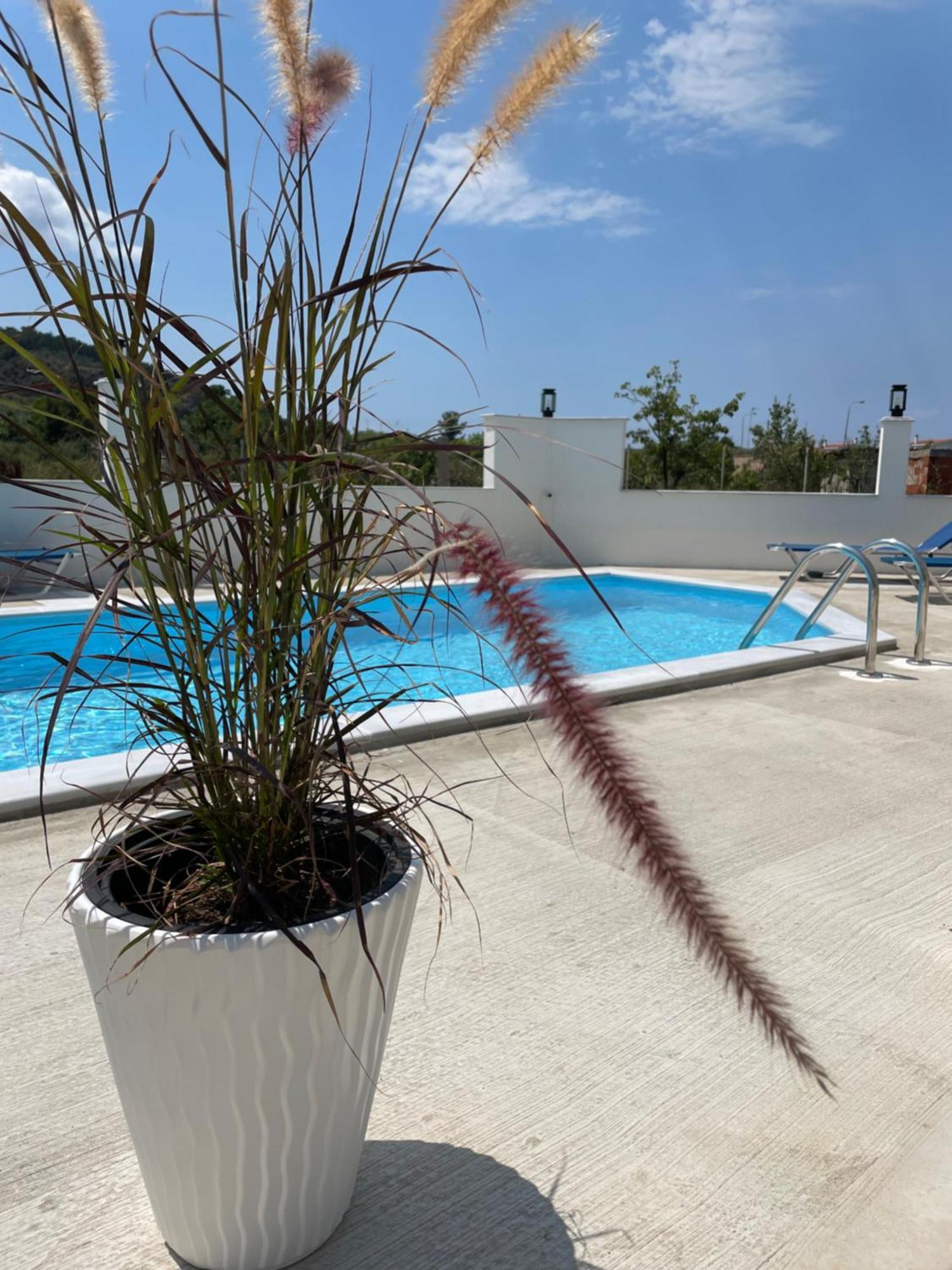 Green Memories Skala Sotiros Exterior photo